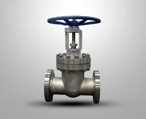 Titanium Gate Valve